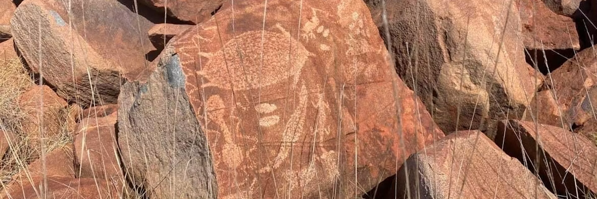 Historic sulphur emissions the likely cause of damage to Murujuga rock art: new research image