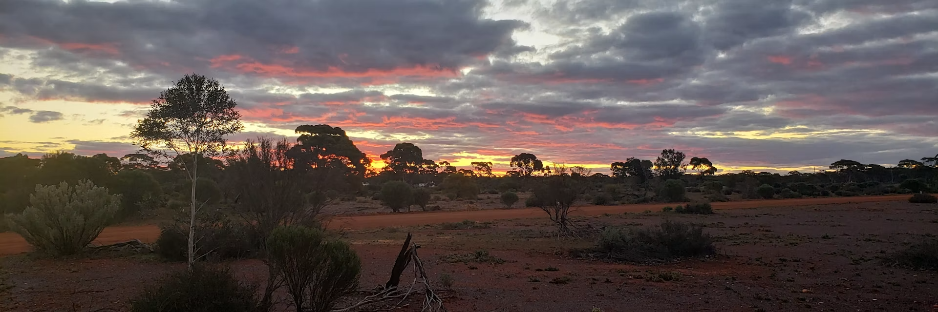 A meteorite impact may have once rained gold on Western Australia image