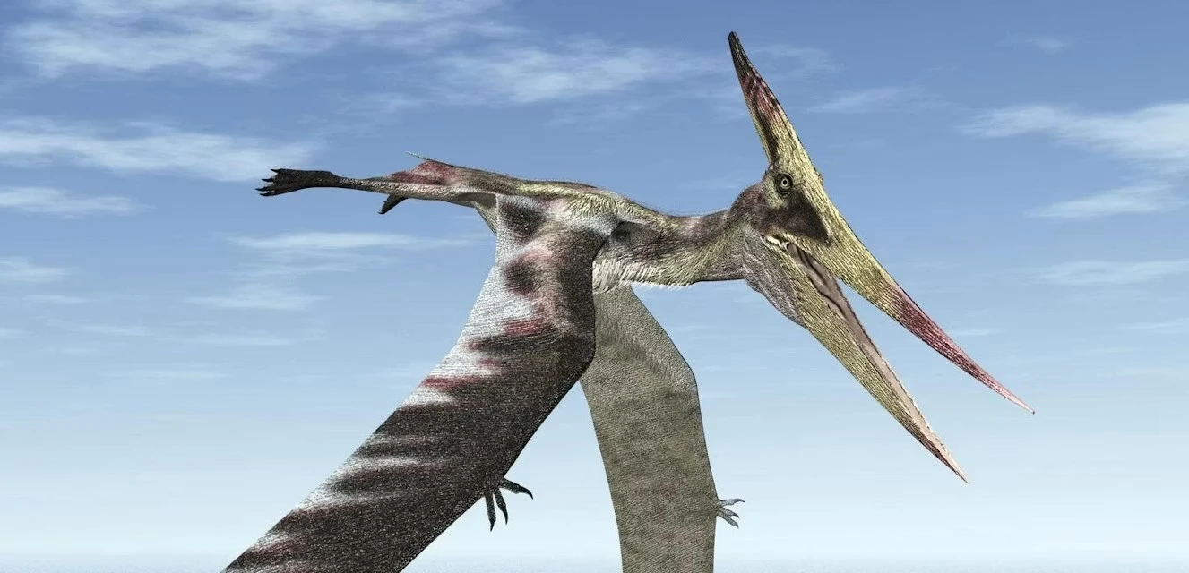Microbes destroyed an ancient pterosaur’s wingbone, then preserved it for 100 million years image