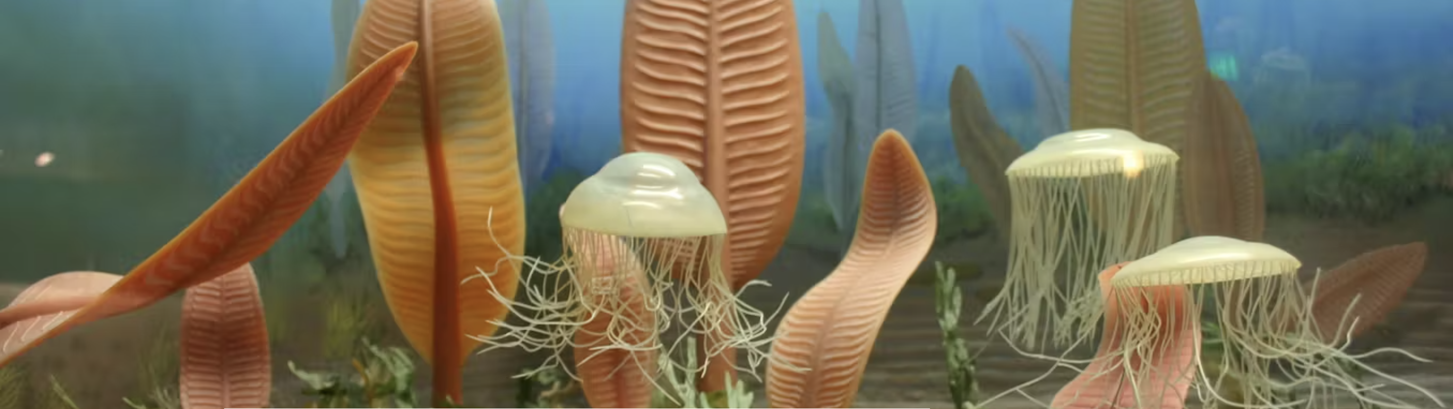 565-million-years-old, some of the oldest UK fossils are eerily similar to famous Australian ones image